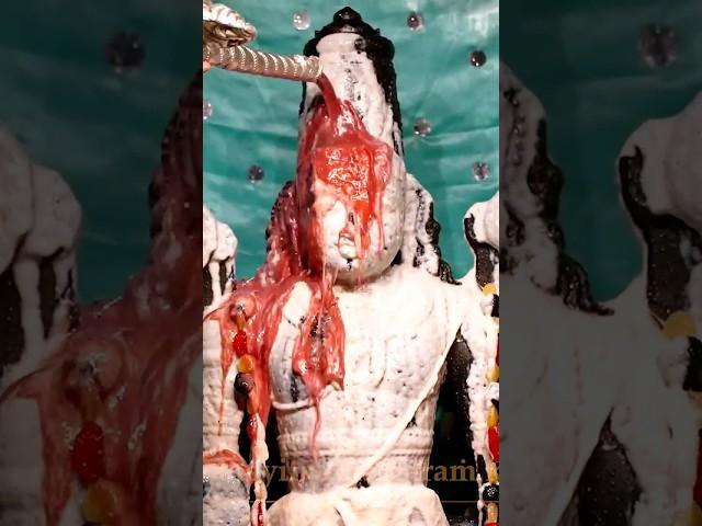 Govinda Balaji Full Abhishekam #tirupati #tirumala #darshan #vishnu #narayan #devasthanam #aarti