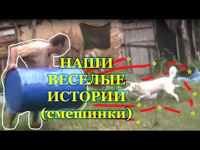 Наши веселые истории (смешинки)