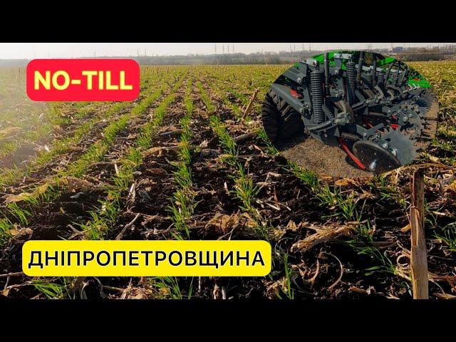 NO-TILL посів пшениці монодисковою сівалкою MULTISEM!