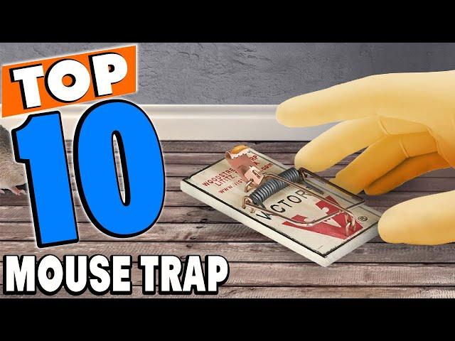 Top 10 Best Mouse Traps Review in 2024