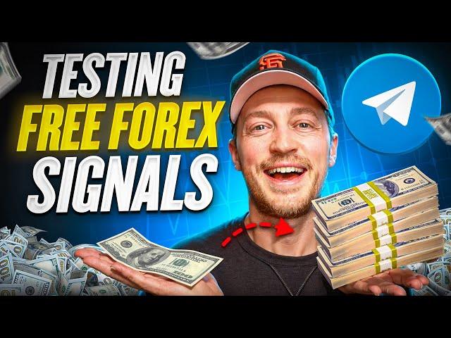 Testing the BEST Free Forex Signals Telegram Groups in 2025