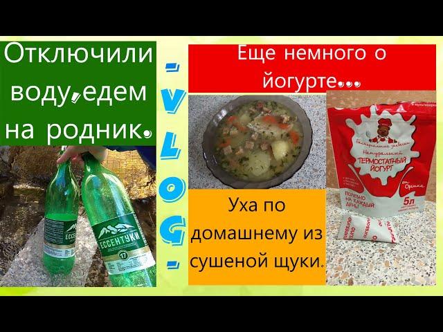 На родник на самокате/ дождливые дни и слабая рассада.