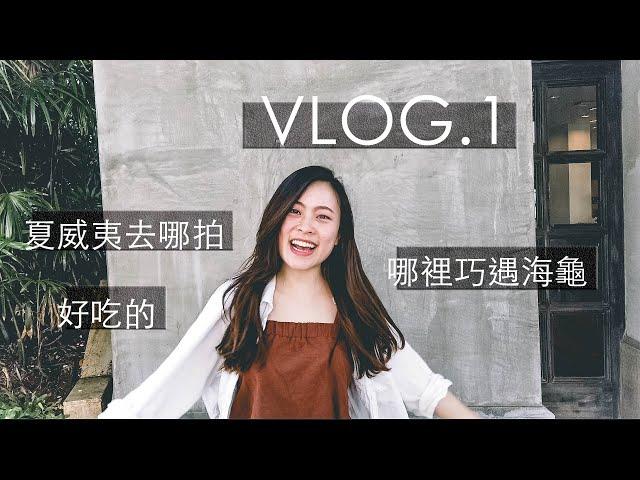 TRAVEL VLOG | 跟我去夏威夷歐胡島度假吧！ 跟海龜游泳好夢幻呀～