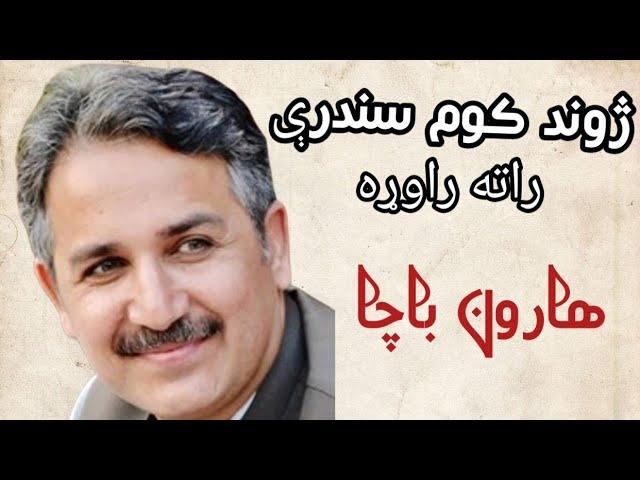 Haroon Bacha New Song / Zhwnd kawm sandry rata / هارون باچا نوې سندره / ژوند کوم سندرې راته راوړه