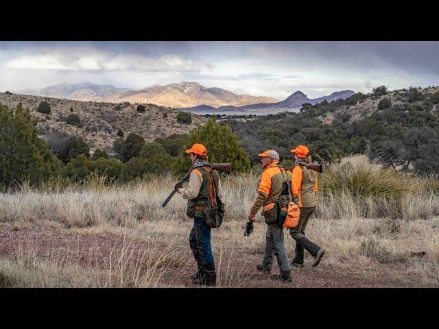 Upland Hunting's Bookmark Days