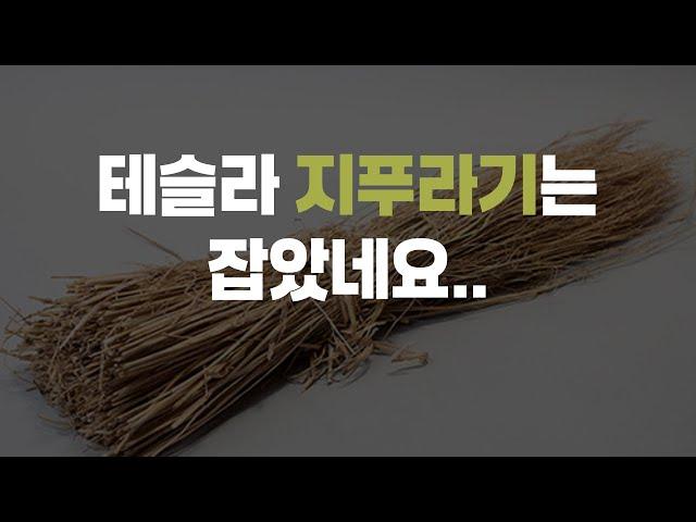지푸라기는 잡은 우리의 테슬라.. 옵션상황은 좋습니다.