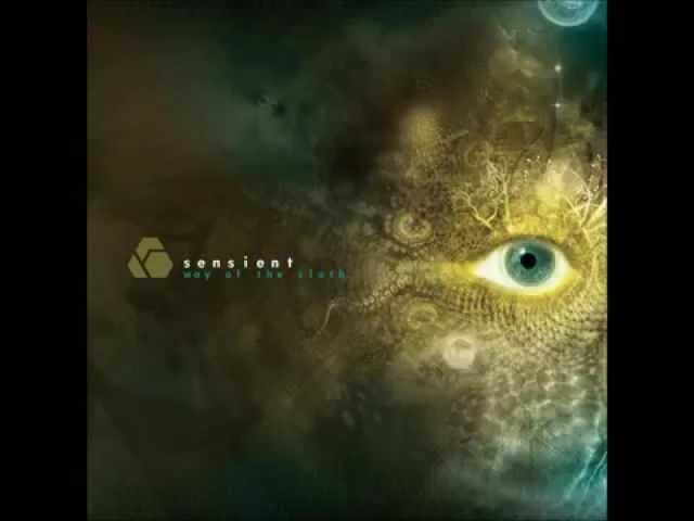 Sensient-Grunt Minimale