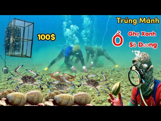 Trúng Mánh Ổ Ghẹ Xanh Sò Dương Giá Trị Cao | Ngày Lặn Biển Đầy May Mắn Của Cảnh | Cảnh 86