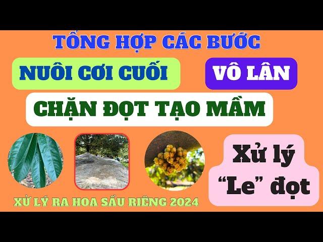 Tổng hợp quy trình từ nuôi cơi cuối - vô lân - chặn đọt tạo mầm - hóa chất - xiết nước và xử le đọt