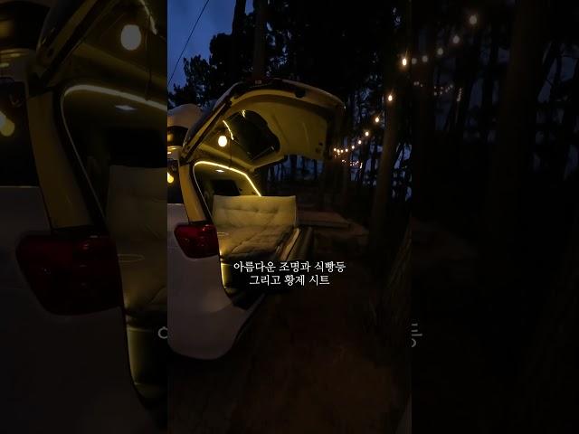 초현실 9인승 카니발 차박 캠핑 감성
