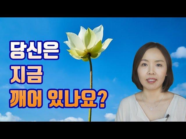 일상 속의 알아차림 명상, 깨어서 살아가기, 메타인지 높이기 - 나는 지금 무엇을 왜 하고 있는가?