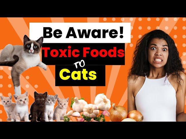 Cat Owners Beware: Toxic Foods Revealed