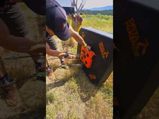 NEW Favorite Target?  #elkshape
