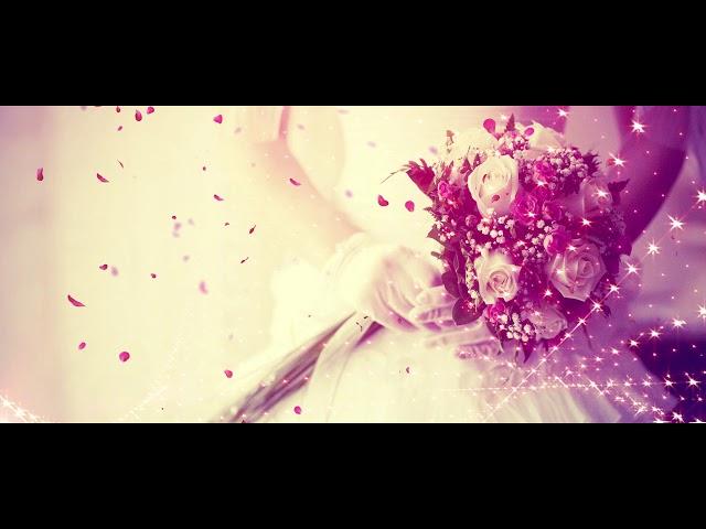 Wedding Background Video -  Full HD Loop 1080P - DeepThoughts Films