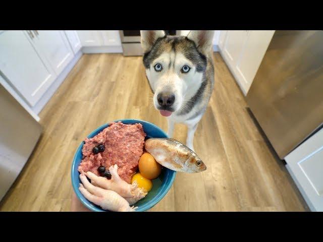 What Feeding Raw Breakfast Every Morning Looks Like With My Husky!