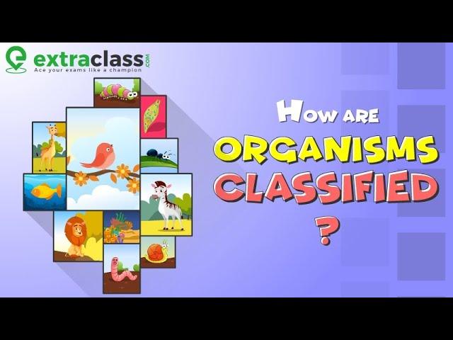 Classification of Organisms | Biology | Extraclass