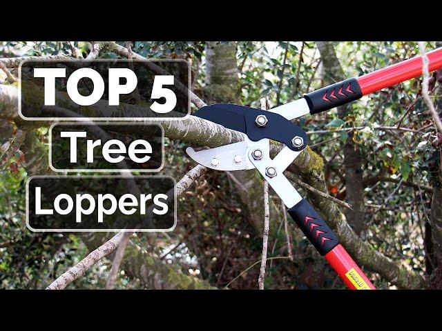 Top 5 Best Tree Loppers You Can Buy Right Now [2023]