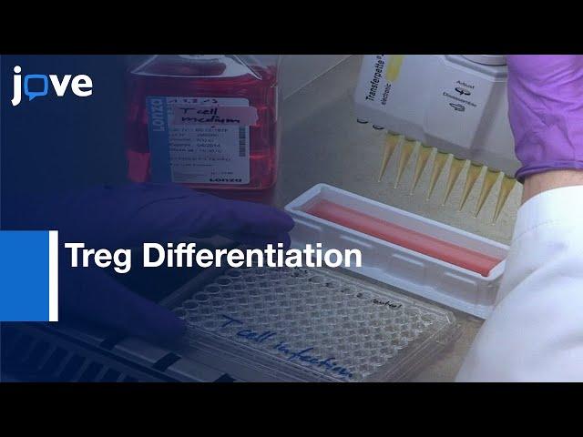 Treg Differentiation Study by Adenoviral Transduction of CD4 T Cells | Protocol Preview