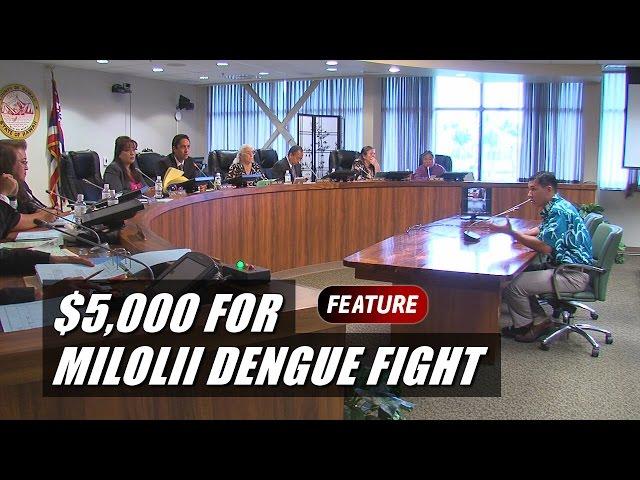 Council Grants $5,000 For Milolii Dengue Fever Fight