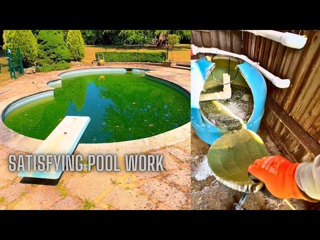 Satisfying pool cleaning!!!