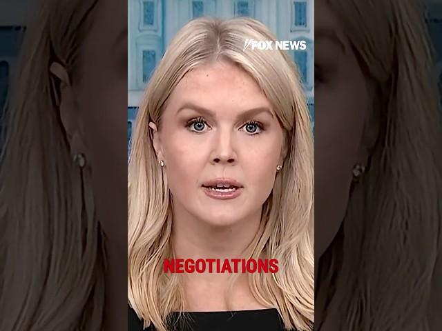 Karoline Leavitt reveals Trump's timeline for Iran #shorts #foxnews #news #us #fox #world #worldnews
