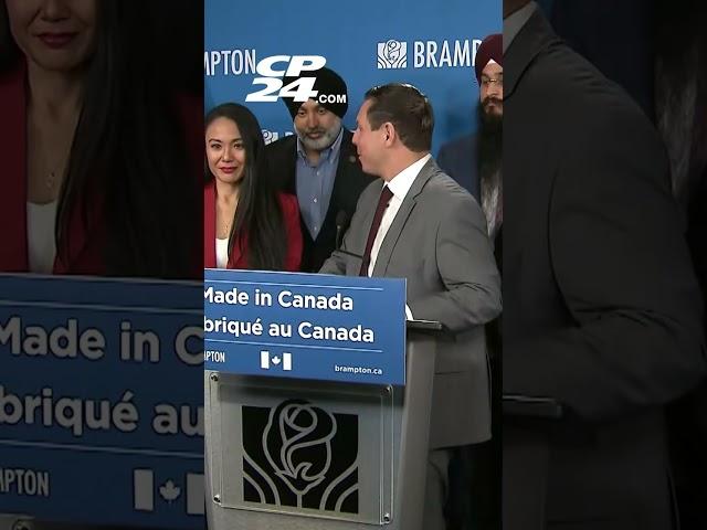 Brampton mayor calls for terror designation of India-based Bishnoi gang