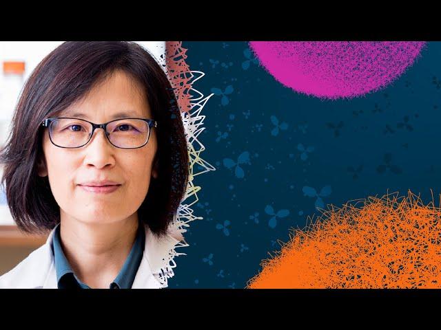 Treg Cell Therapy for Inducing Transplantation Tolerance |  Qizhi Tang