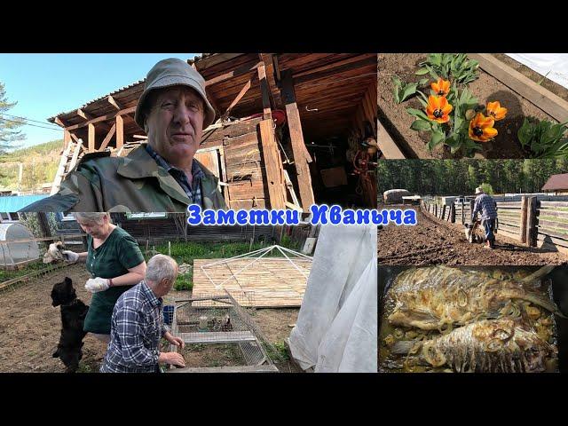 Неизданное: огородные дела. К посадке картошки готовы.