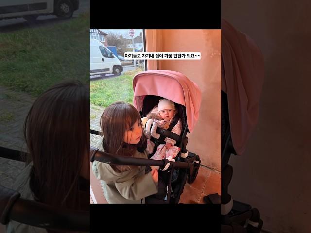 루나와 은하수도 집이 가장 편한 듯 해요~ #아기천사루나