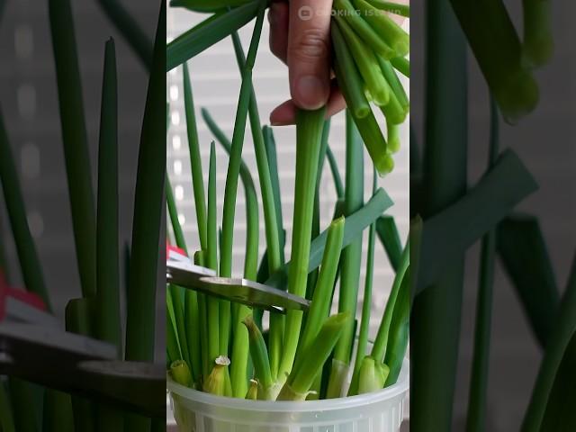 NEVER buy green onions again! How to regrow scallions? Kitchen Hacks