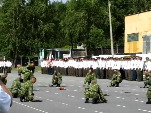 Чем больше в армии дубов, тем крепче наша оборона!