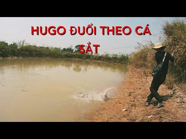 Câu cá lóc , Bị hugo tấn công. smakehead fishing