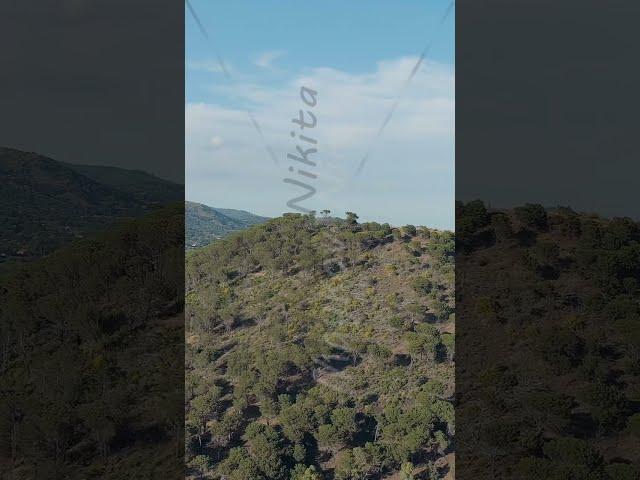 Vertical video. Nicolosi, Sicily, Italy. Volcanic craters overgrown with forest on the slopes of ...