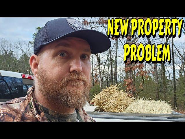 WORK NEEDS DONE ASAP |tiny house, homesteading, off-grid, cabin build, DIY HOW TO sawmill tractor