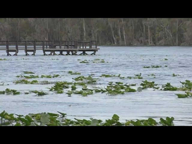 Clay County leaders seek help from voters to create land conservation program