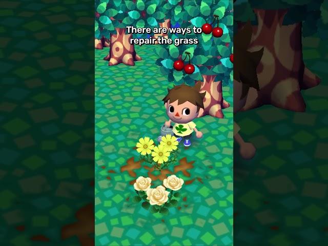 The Animal Crossing Grass Controversy, Explained