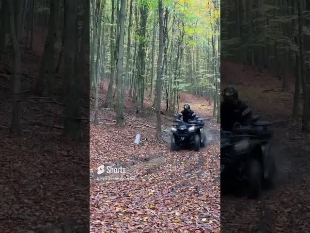 Cf moto gladiator  X450 ️ #cfmoto #forest #foryou #outdoors #autumn #offroad #quads #youtubeshorts