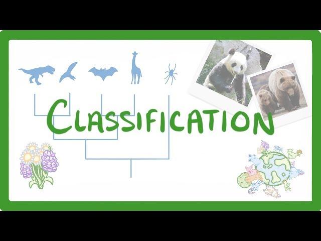 GCSE Biology - Classification