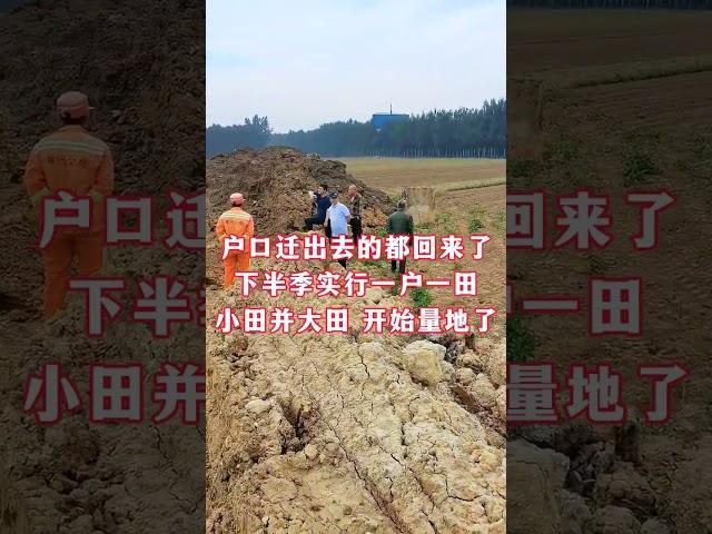戶口遷出去的都回來了，下半季實行一戶一田，小田並大田，開始量地了！#農村土地#分地#記錄農村生活