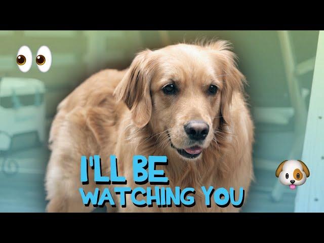 I'll Be Watching You (I'll Be Missing You Parody)