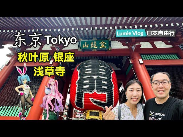 Japan Self-Guided Tour | Vlog11 Tokyo Travel Guide (Part 2)  Shopping and Food Guide  | Japan Travel