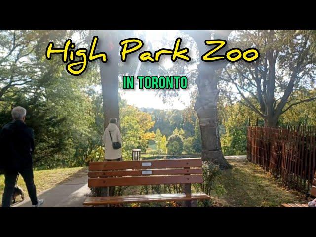 High Park Zoo in Toronto #family#fun #thanksgiving#naturelovers#animals #highpark#zoo#toronto