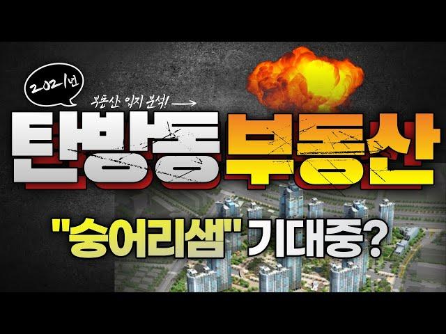 2021년 탄방동 부동산 입지 및 전망! 숭어리샘 기대중?