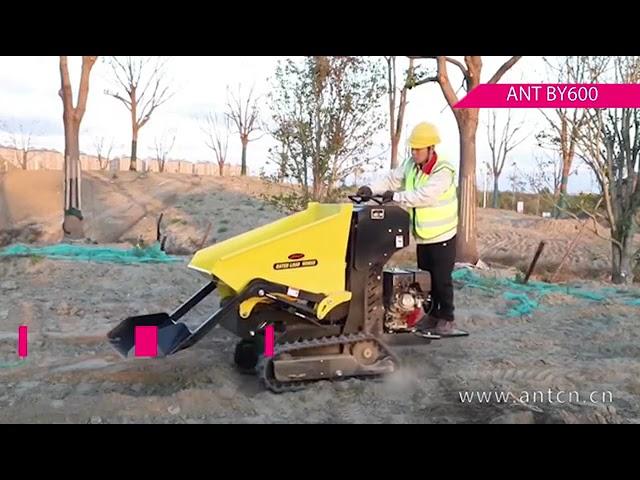 BY600 ant mini dumper