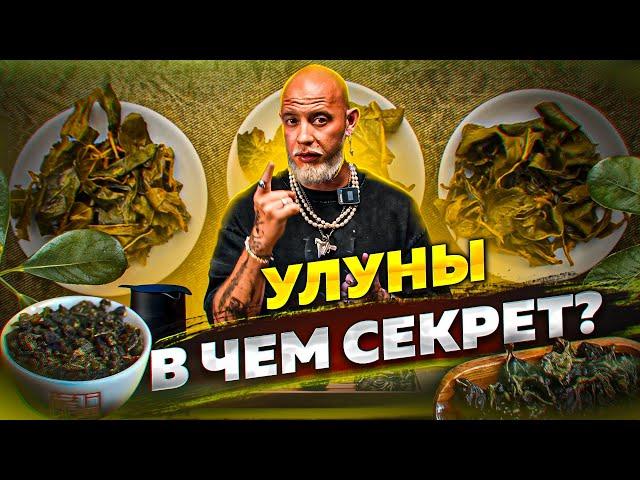 Улун - в чём фишка?