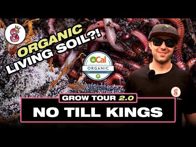 Unlocking the Secrets of Living Soil & Rare Strains: No Till Kings