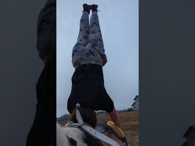 Headstand without a spot#horse #equestrain #trickriding #stuntrider #fypシ゚ #subscribe #viralshort