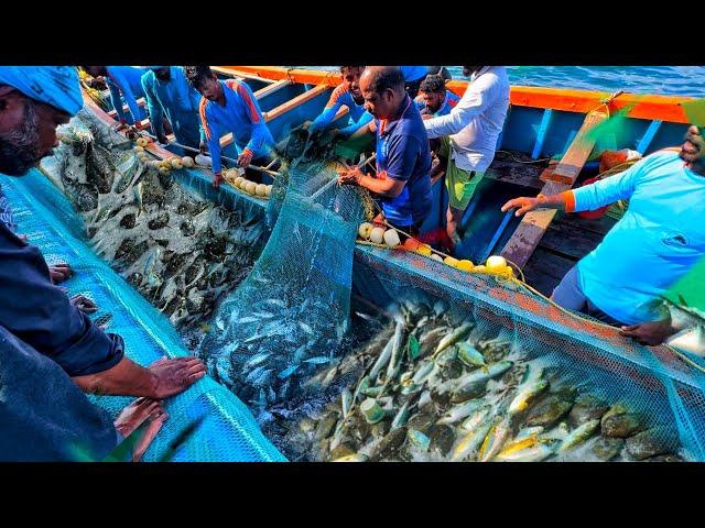 Today's Amazing fishing!We Caught Tons Of Big Black Pomfret Fish &Collector Came With Us For Fishing