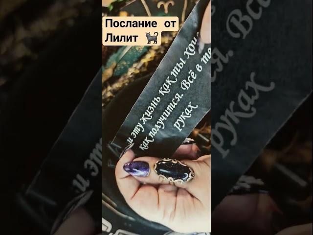 послание от Лилит‍⬛#таро #психология #таролог #гадание #