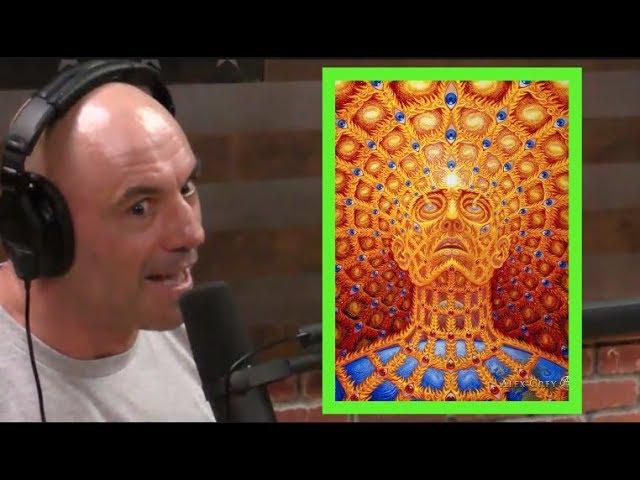 Joe Rogan's DMT Experiences